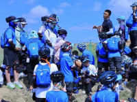 教培机构访谈 素质教育到底伤得不重